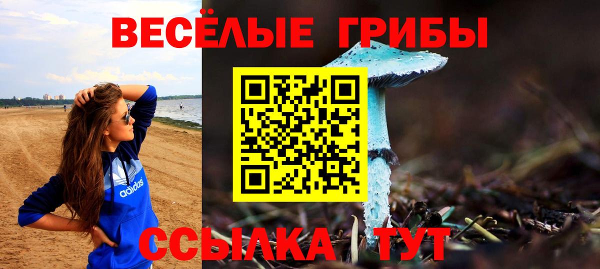 Галлюциногенные грибы Psilocybine cubensis  Вход с VPN  Сальск  даркнет сайт  Галлюциногенные грибы Psilocybe 